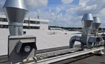 50624_8.jpg