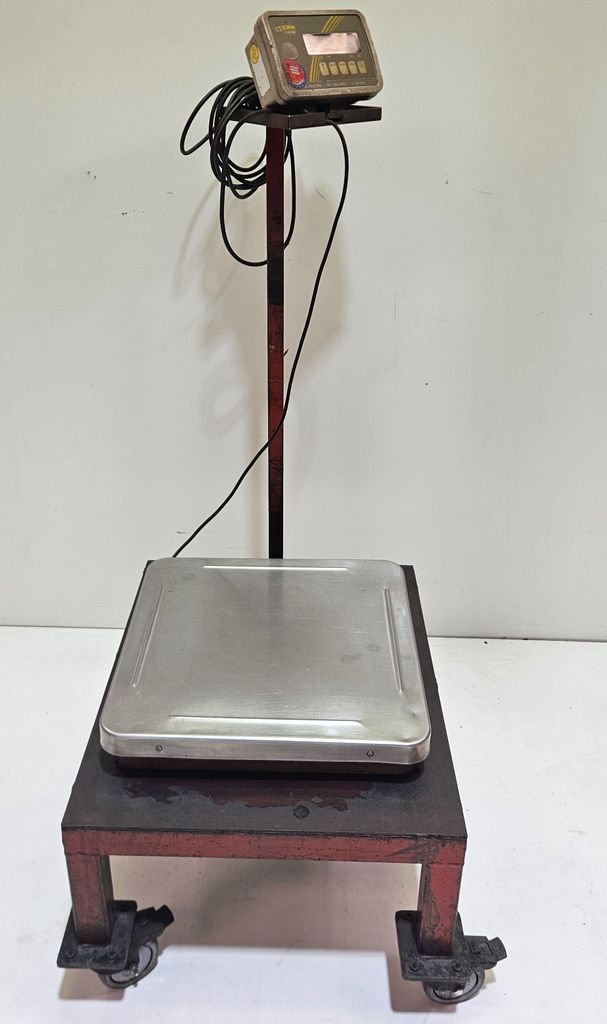 50970.jpg 50970.jpg