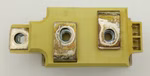 51490_1.jpg