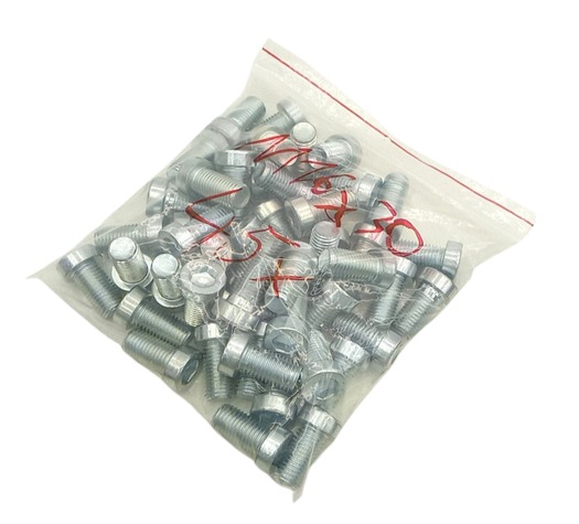 45x M16x30 Hexagon Bolt DIN 933 M16×30 Galvanized