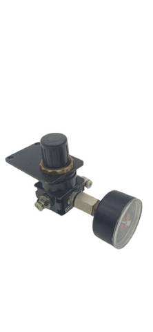 Aventics 0821302730 Pneumatic Pressure Regulator With Pressure Gauge 7290 FD:818