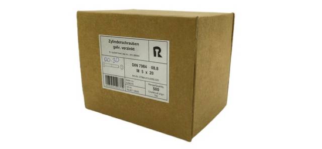 500x Reyher Cylinder Screw DIN 7984 Hexagon Socket M5x20