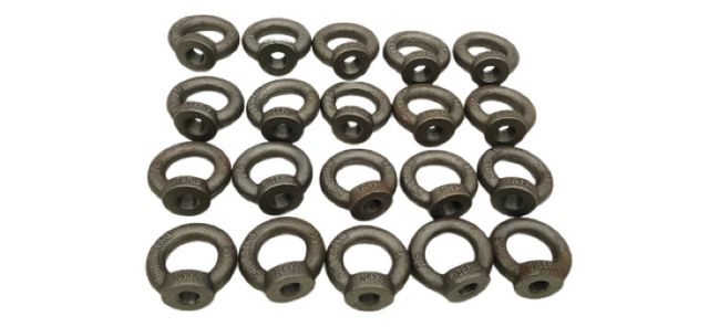 20x R+K C15EM16 Lifting Eye Nut WLL 700 kg