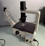 Carl Zeiss Axiovert 40C Routinemikroskop Vorderansicht Carl Zeiss Axiovert 40C Routinemikroskop Vorderansicht