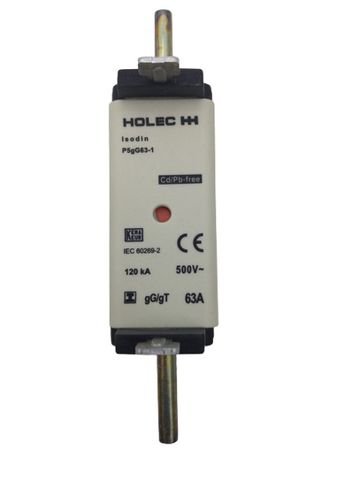 2x Holec HH 105256 P5GG63-1 Slow Fuse Link
