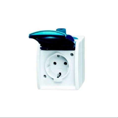 Busch-Jaeger 20 EW-53-503 Combination Socket Rocker Switch