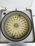 61232_4.JPG