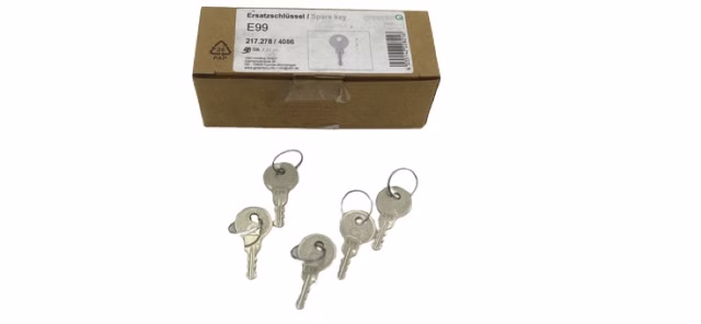 50x GreenteQ 217.278/4086 Ersatzschlüssel E99 2172784086