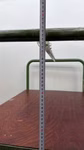 62983_6.jpg