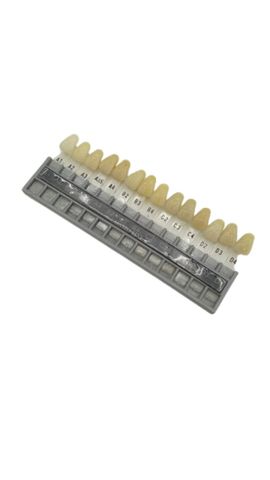 948331G Vita Indeterm Dental Shade Guide A1-D4