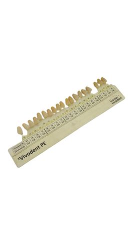 Ivoclar Vivodent PE Color Samples Dental Shade Guide