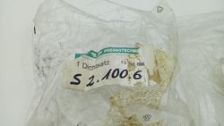 66531_5.jpg 66531_5.jpg