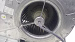 67109_3.jpg