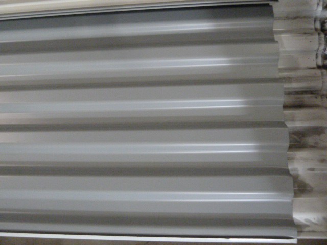 6816-P1240437.JPG