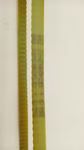 68301_4.jpg