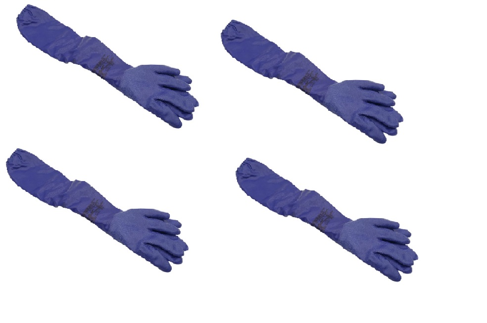 68485_6.jpg