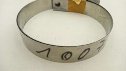 68560_5.jpg 68560_5.jpg