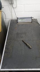 68624_5.jpg 68624_5.jpg