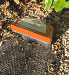 70203_4.jpeg