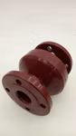 HYDROSTOP DN50 PN16 Zwischenflansch Rückschlagventil GG25