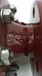 71560_5.jpg