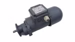 Bauer 26755016-1 Getriebemotor BG04-31/D04LA4-S/E003B7/SP
