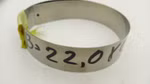 71862_3.jpg
