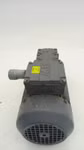 72077_4.jpg