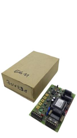 304238 Control Board V-00050-31-001 6 A