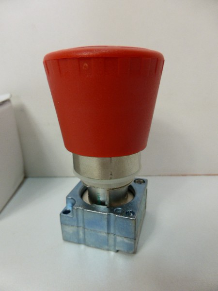 9850-P1000261.JPG