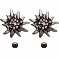 1x Paar Dekoratives Edelweiß Paar 35 mm dekorative Edelweiß-Metallnieten für deutsche Kleidung und Schuhe, Vorderansicht, ideal für die Verzierung von Trachten und zum Ersetzen beschädigter Elemente.