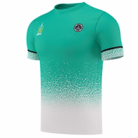 Side-View-172108011-OK103-Kellygruen-jersey--trikot--WM-trikot--fanartikel--Fantrikot-Fussballtrikot--fussball--Teamwear--Teamsport-OK103-Kellygruen.jpg