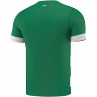 4-172108035-OK108-Gruen-Weiss-jersey--trikot--WM-trikot--fanartikel--Fantrikot-Fussballtrikot--fussball--Teamwear--Teamsport-OK108-Gruen-Weiss.jpg