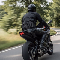 2nd-172108302-GW526B-nierengurt--motorradnierengurt--gurt--protoren-gurt--safty-gurt--Rueckenprotektor-GW526-527-528B_1.jpg