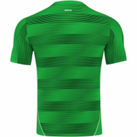4-172108441-OK113x5-jersey--trikot--WM-trikot--fanartikel--Fantrikot-Fussballtrikot--fussball--weltmeisterschaft--Vollyball--Handball--Hocky--Rugby--Basketball--Sport-OK113x5.jpg