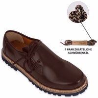 Herren-Bayerische Trachtenschuhe Brown-1721086393-GW1801-GL-Bayerische-Traditionsschuhe--bayerische-Haferlschuhe--dunkelbraune-Farbe--Haferlschuhe--traditionelle-deutsche-Schuhe--bayerische-Lederschuhe--seitlich-ges.jpg