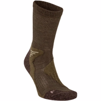 Olive--Single-1721086400-J40-J40.jpg Olive--Single-1721086400-J40-J40.jpg