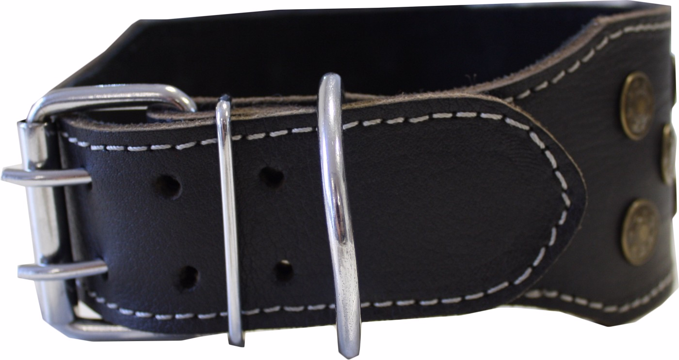 Rückansicht des German Wear Genuine Leather Dog Collar aus schwarzem Rindsleder mit Doppelverschluss und weißer Naht robuste Verarbeitung sorgt für Sicherheit und Komfort jetzt erhalten