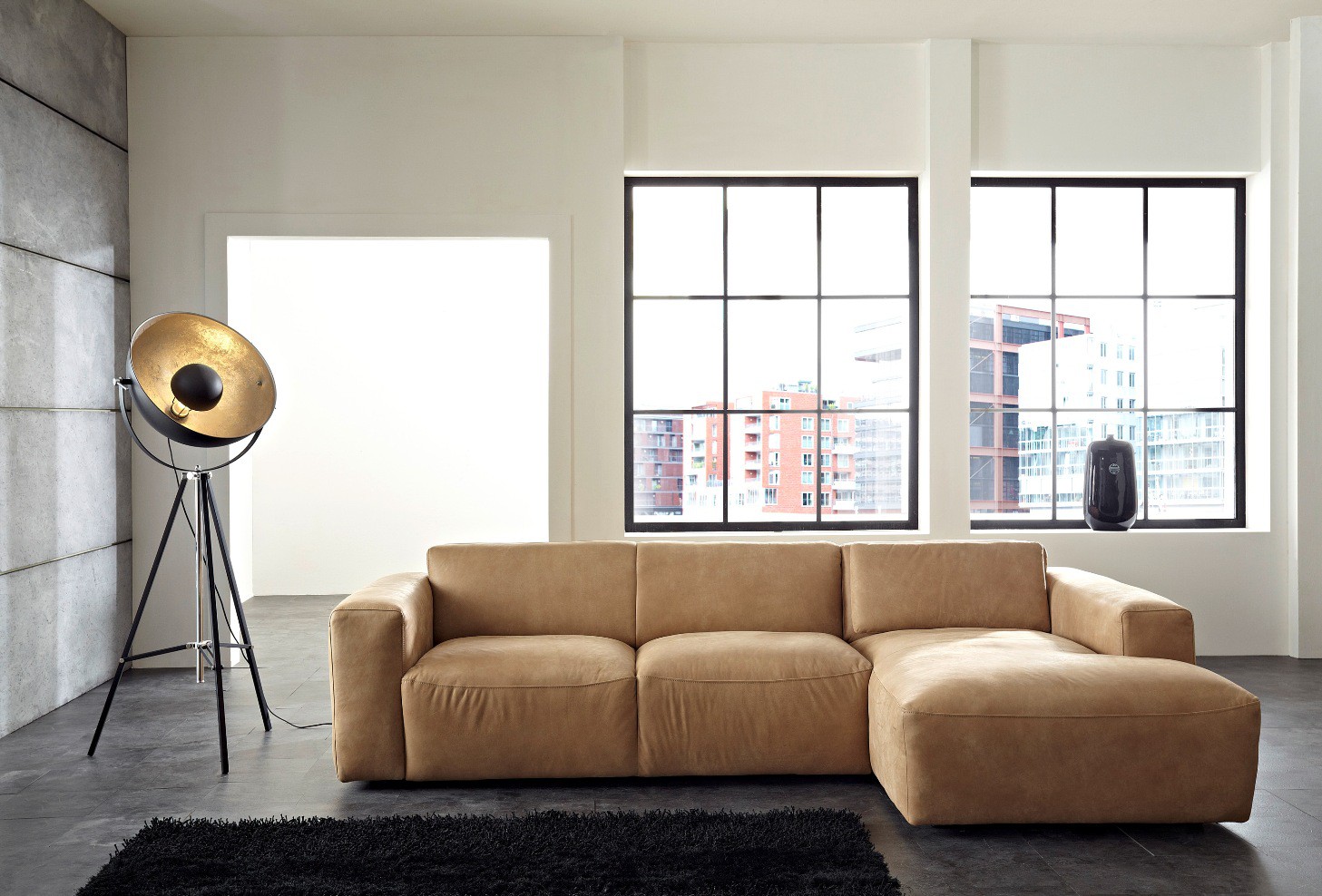 Ledersofa Pure LC