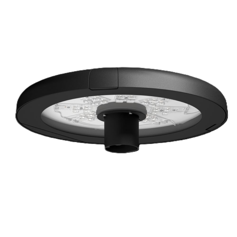 Vizulo Lapwing Mushroom Toolless – en tête de mât