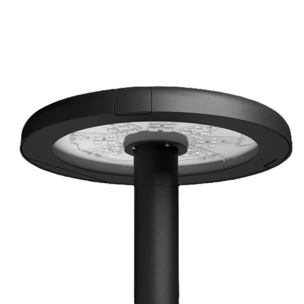 Vizulo Lapwing Mushroom Toolless – Mastaufsatz