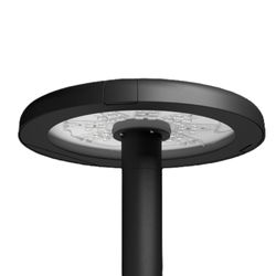 Vizulo Lapwing Mushroom Toolless – en tête de mât