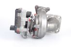 P1000977.JPG