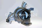 ORG609-4.jpg