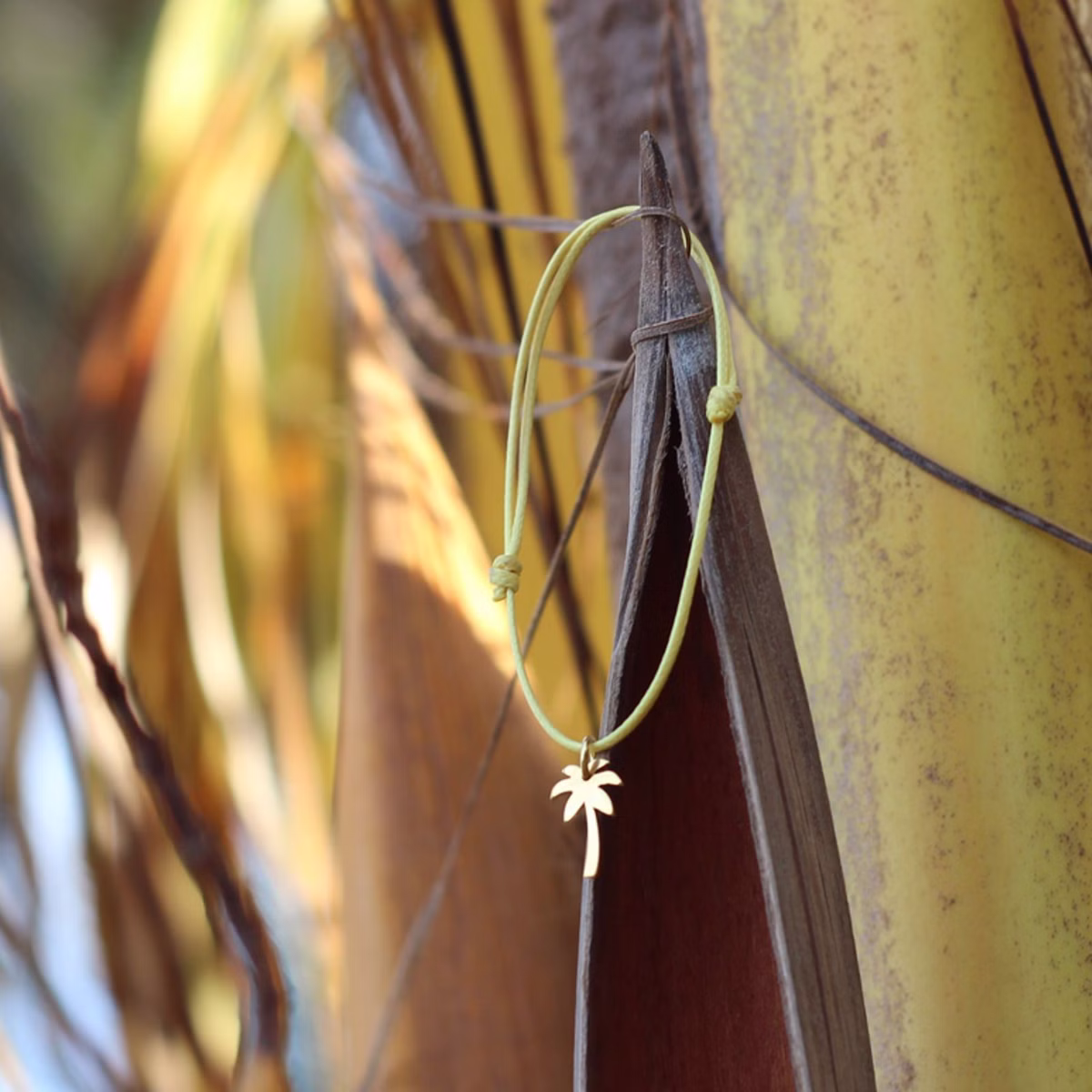 20258---8.jpg 20258---8.jpg