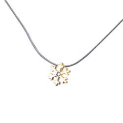 20273.jpg 20273.jpg