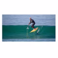 sealion-2019-wings-76-wind-sup-foil--89659-1550140032.jpg