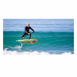 sealion-2019-wings-76-wind-sup-foil-1--61955-1550140032.jpg sealion-2019-wings-76-wind-sup-foil-1--61955-1550140032.jpg