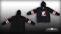 Badgers-Hoddie.jpg