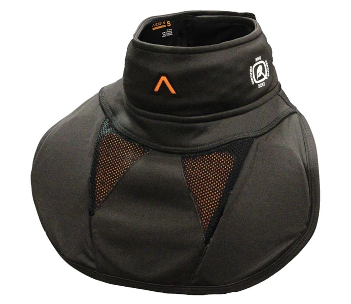 aegis-goalie-interceptor.jpg